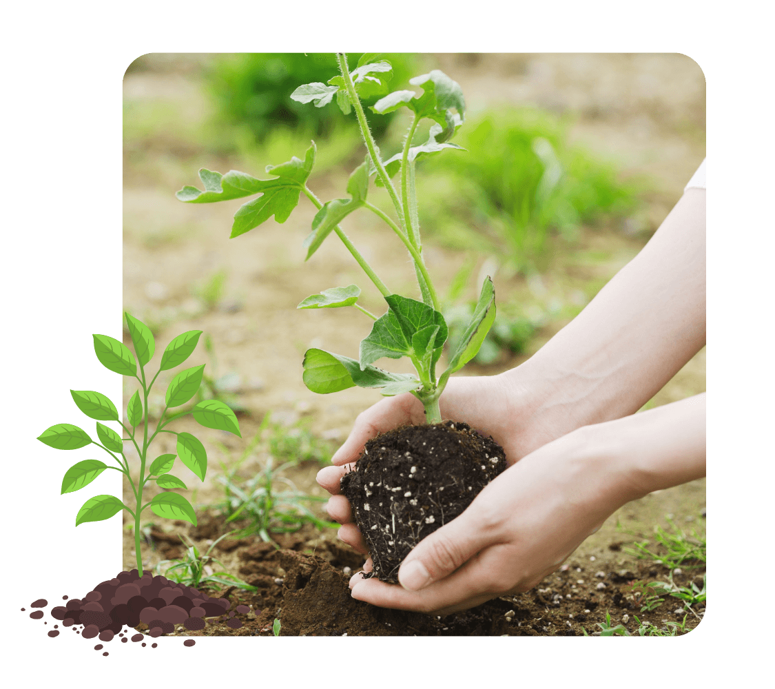 Chitale Dairy Ghee Box