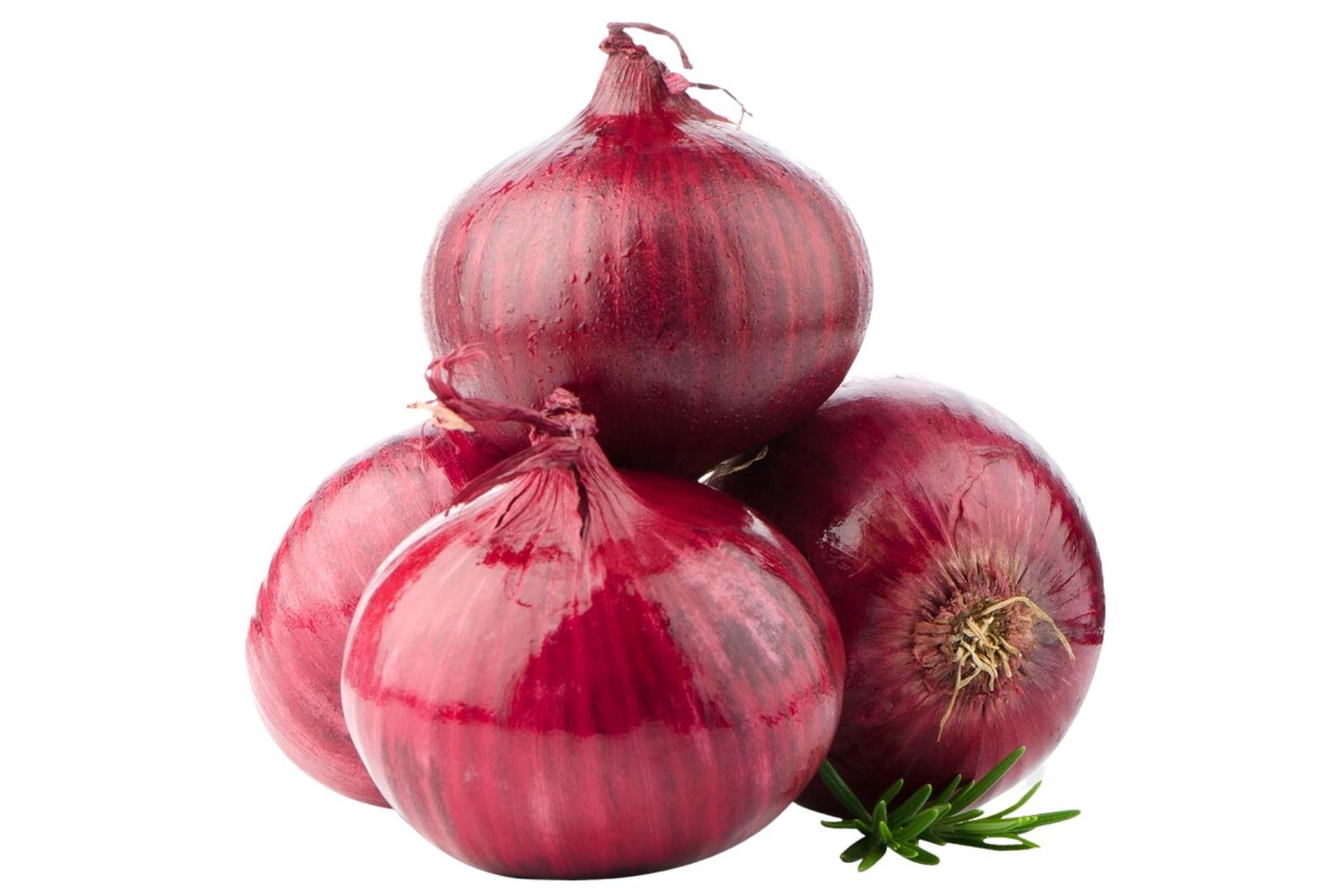 Onion (Kanda)
