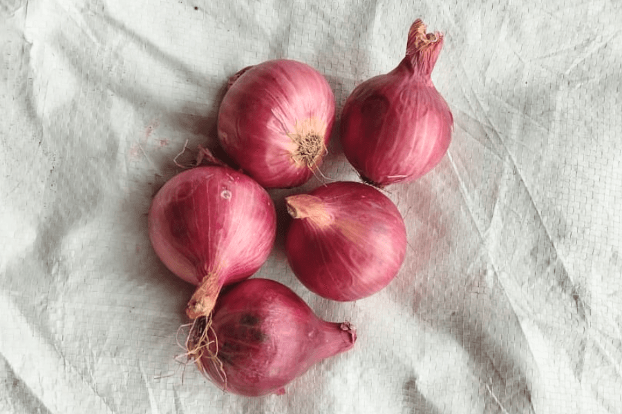 Onion Super 45mm Plus