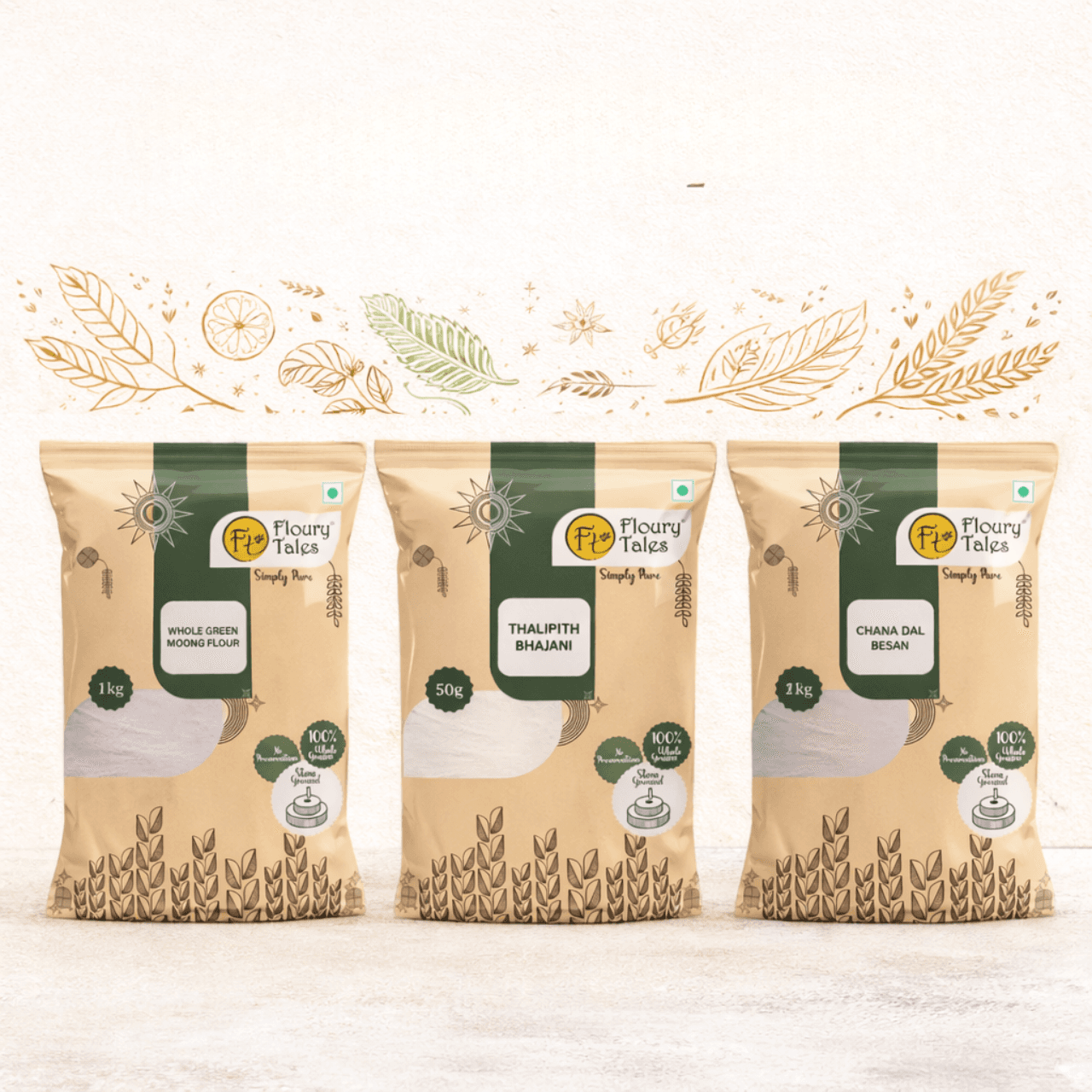 Team member portrait — professional headshot