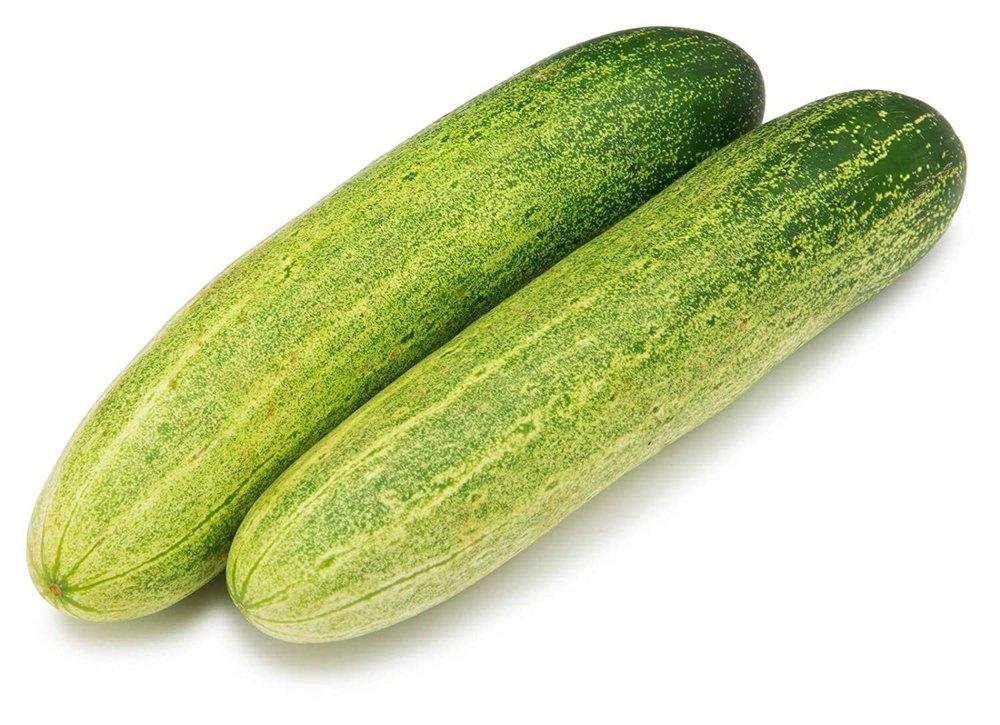 Organic Indian Cucumber