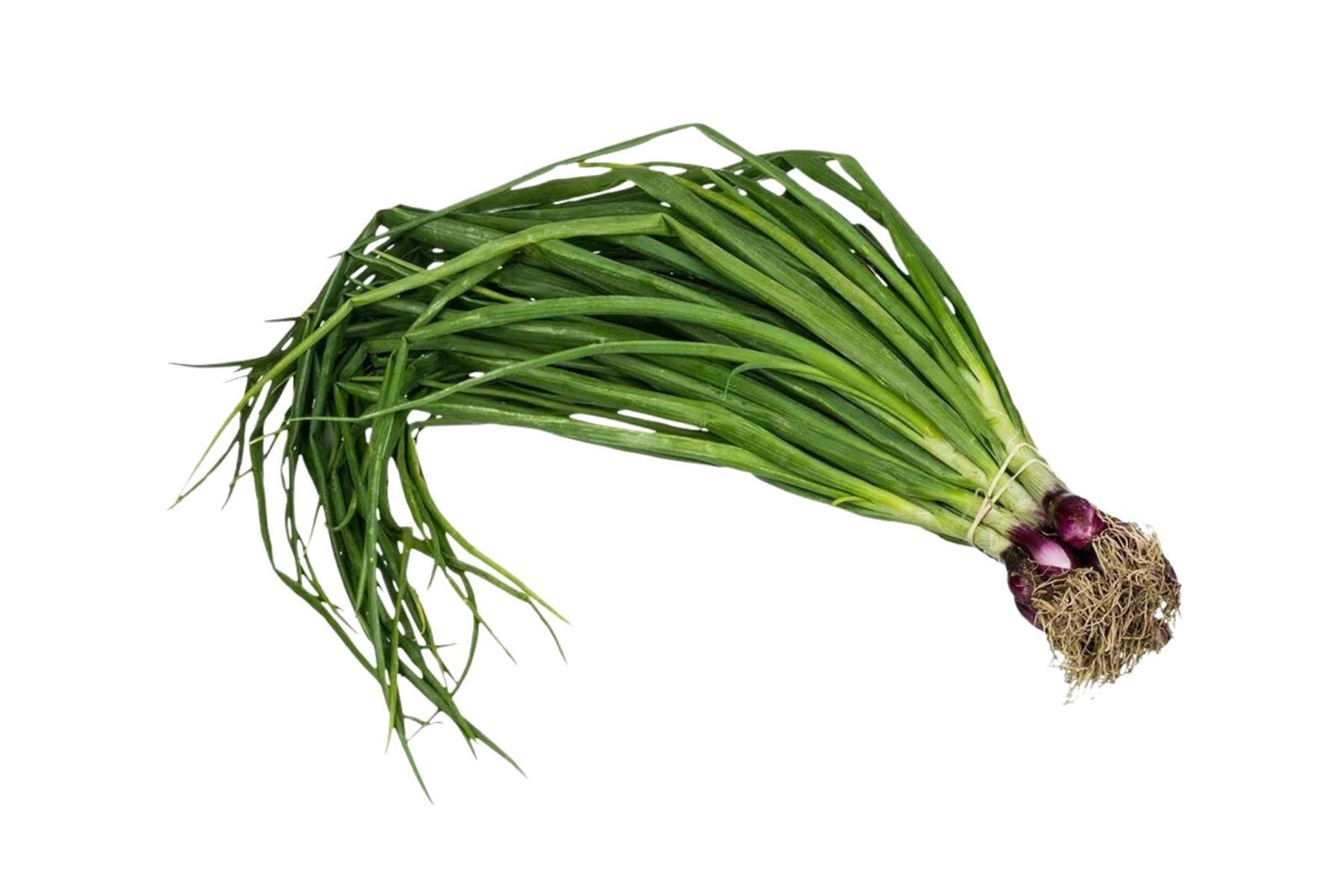 Organic Spring Onion