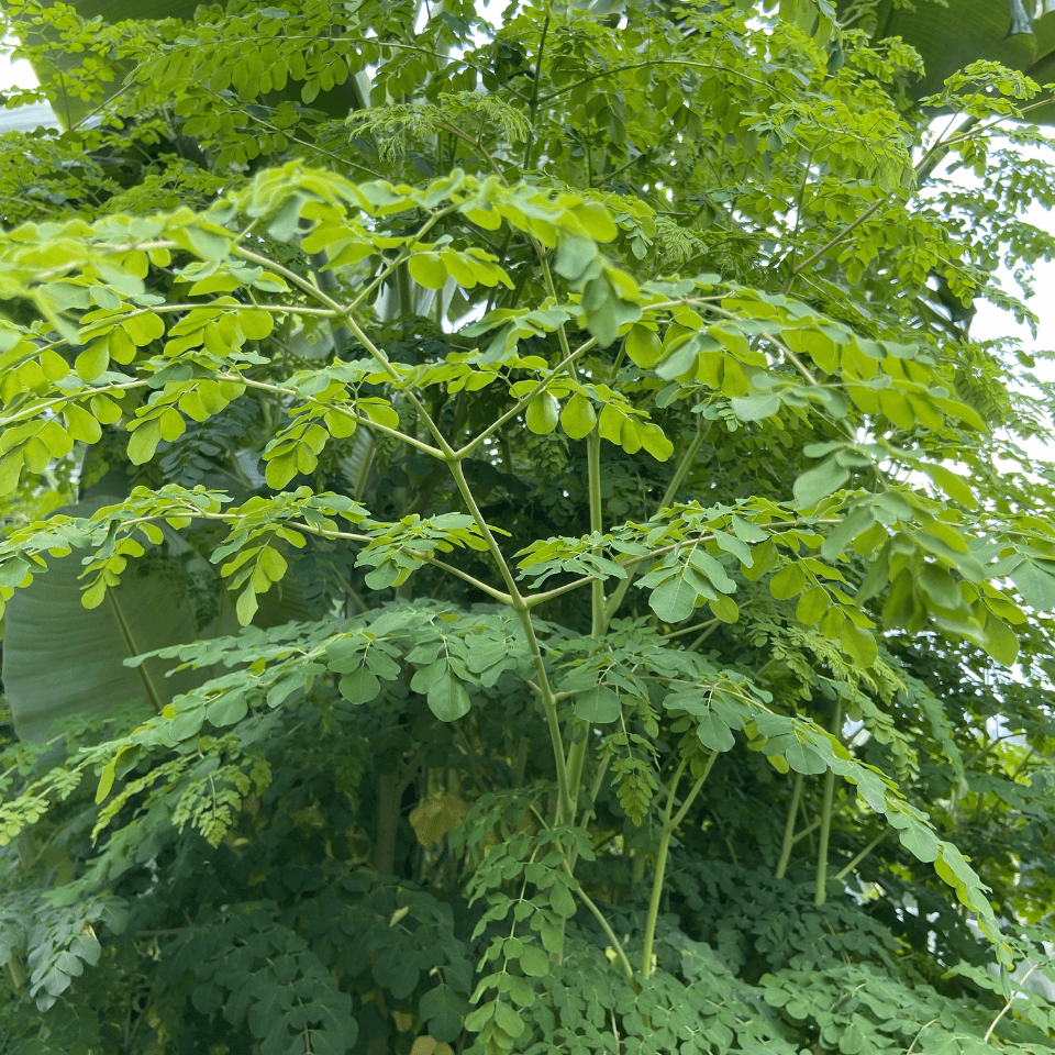 Blog post image — editorial scene