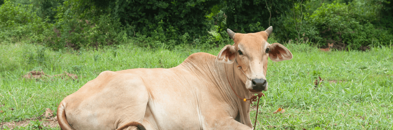 Photo by Fakurian Design