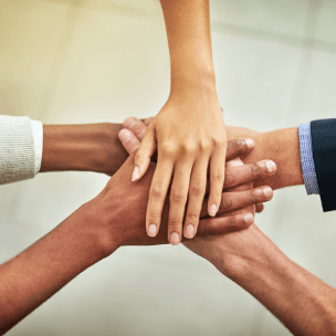 Team member portrait â smiling headshot