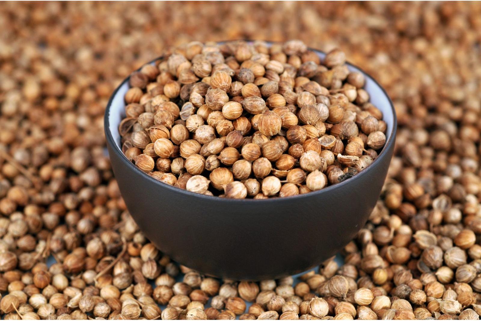 Coriander Seeds