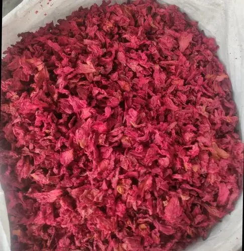 Dried Rhododendron ( Buransh ) Flowers