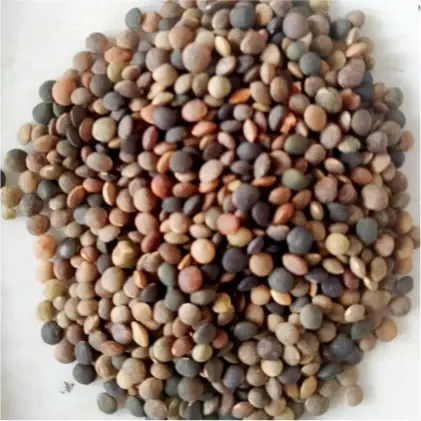 Pahadi Masoor Dal