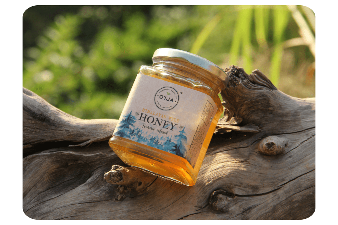 Himalayan Curcumin Infused Wild Honey