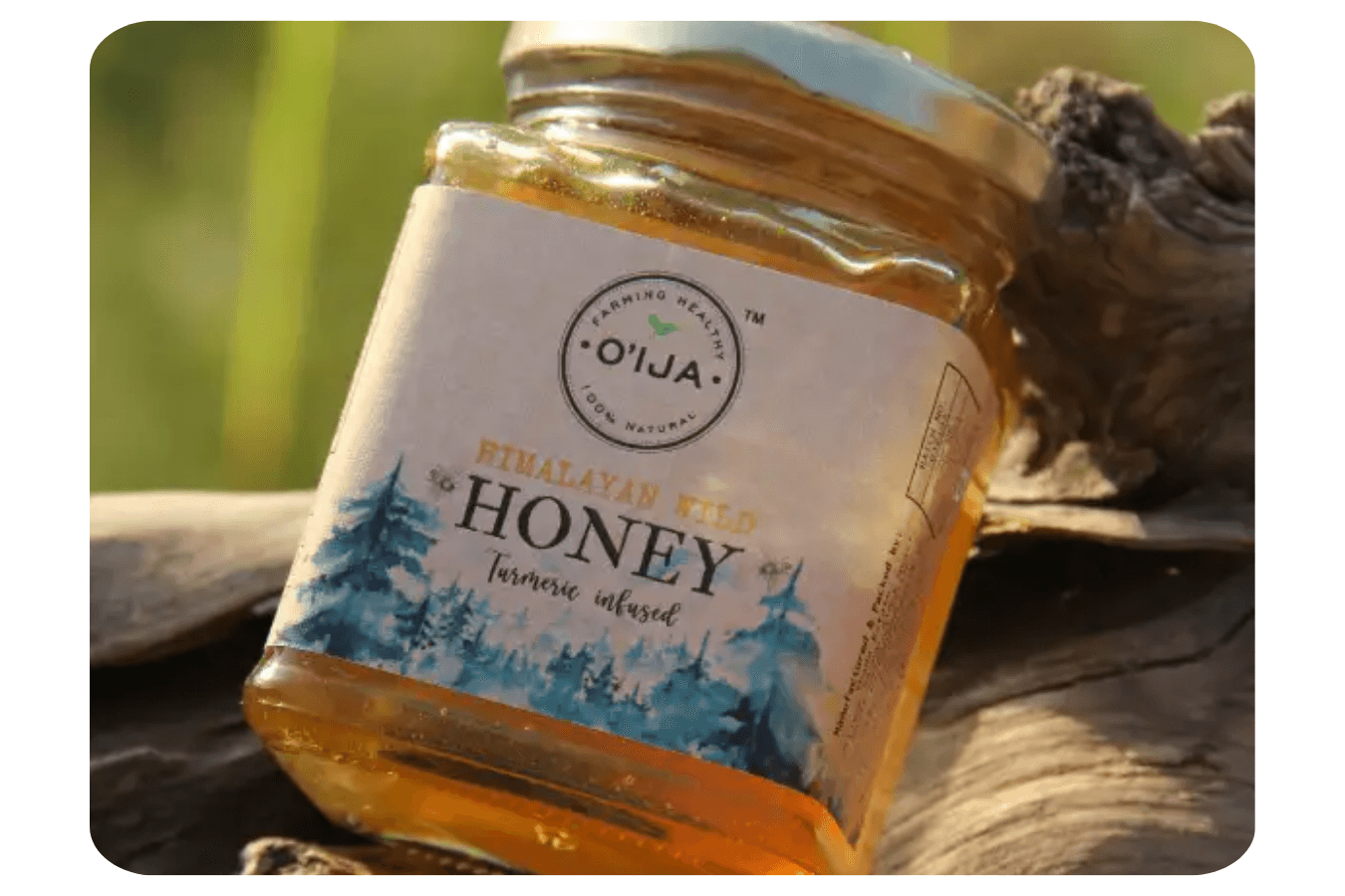 Himalayan Wild Cinnamon Honey