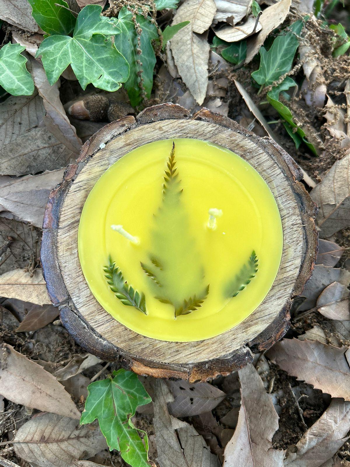 Himalayan Bee Wax Candle - Tea Tree, Reusable Wooden Bark Tray