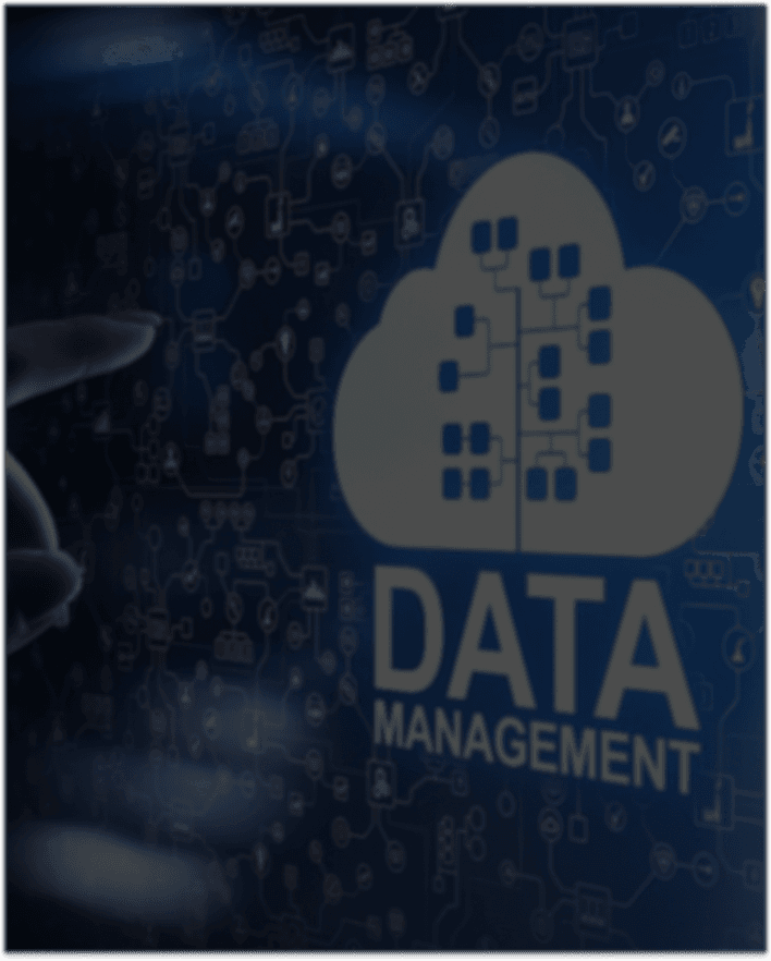 Team member portrait — professional headshot