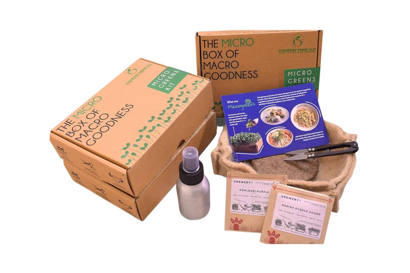 Micro Box Jute Planter Kit