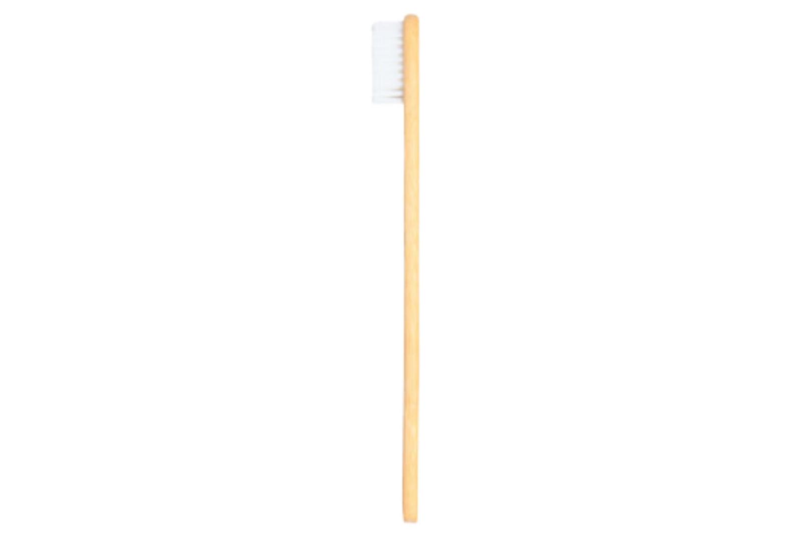 Tooth Brush BT- Aquila Adult