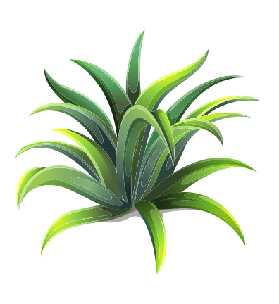 Photo by Ayo Ogunseinde