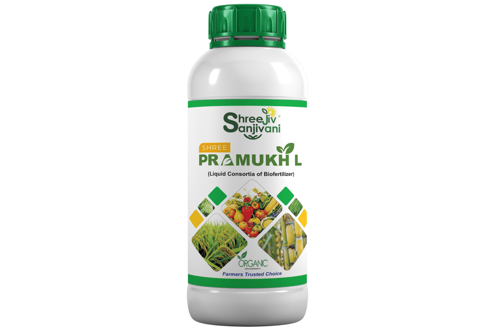 SHREE PRAMUKH