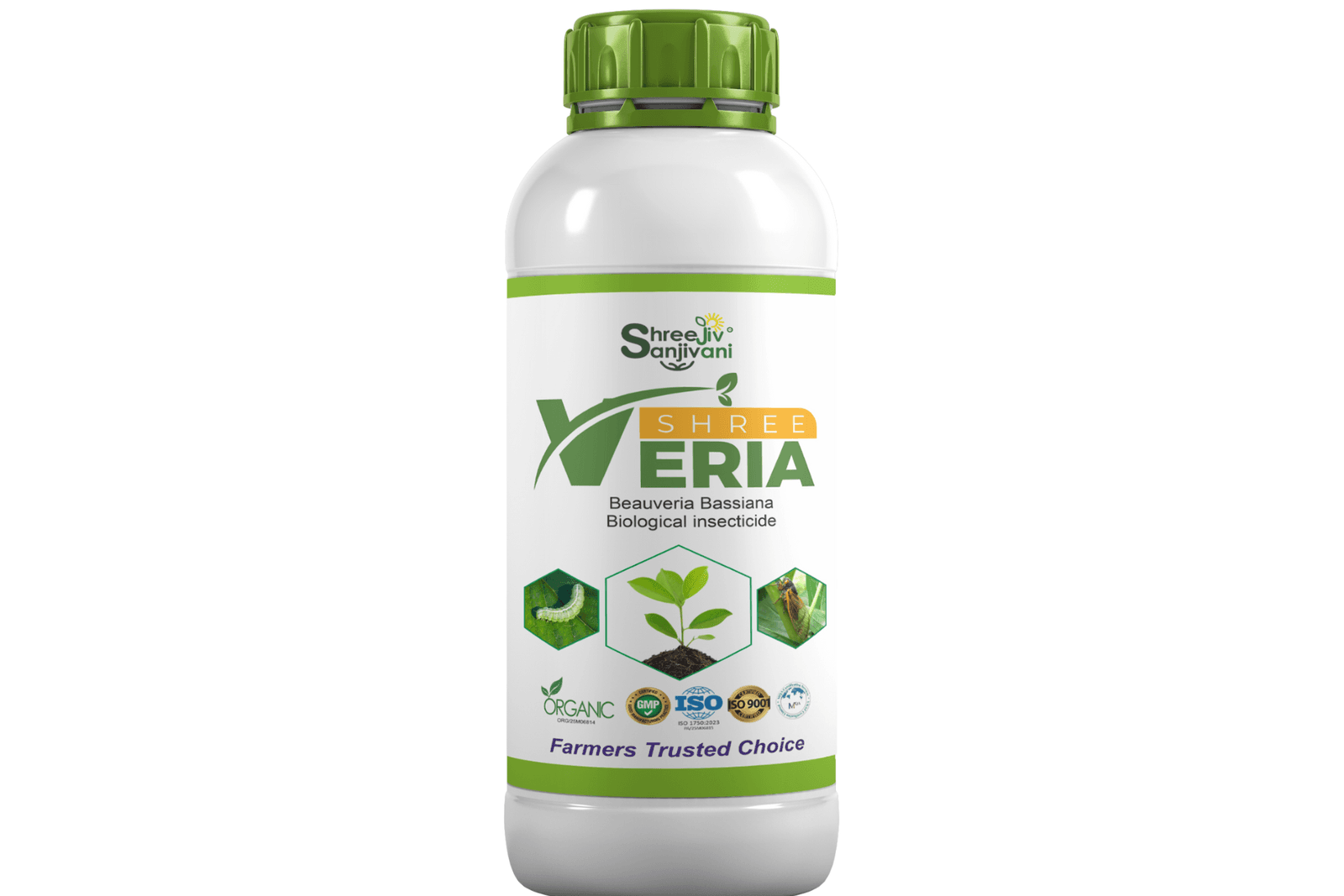  SHREE VERIA
