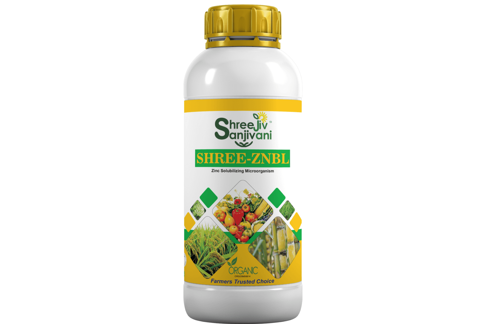 SHREE ZNB