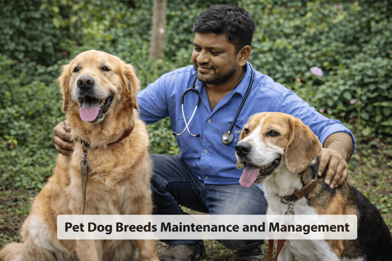 Pet Dog Breeds Maintenance and Management