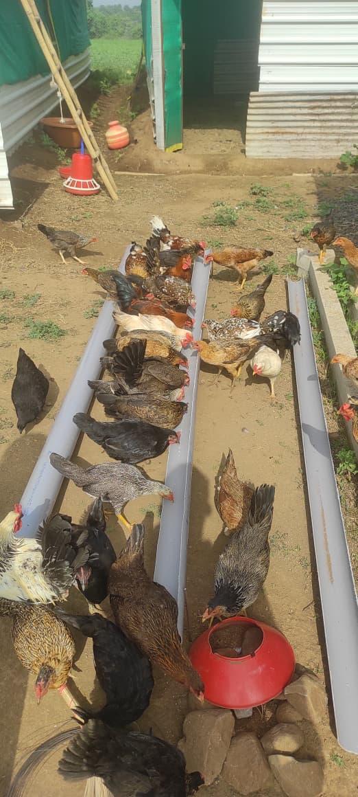 Slider image — lifestyle scene