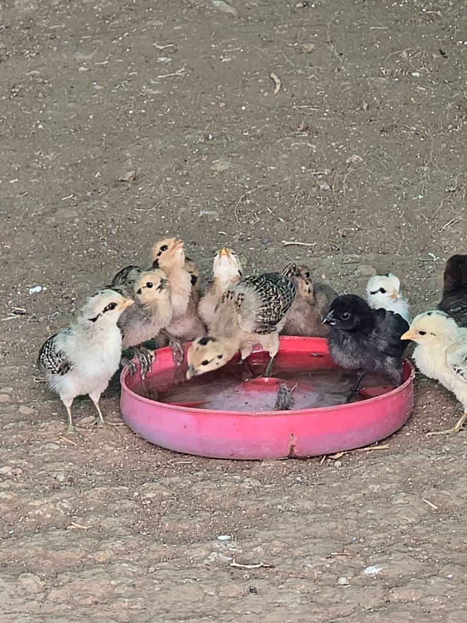 Slider image — scenic shot