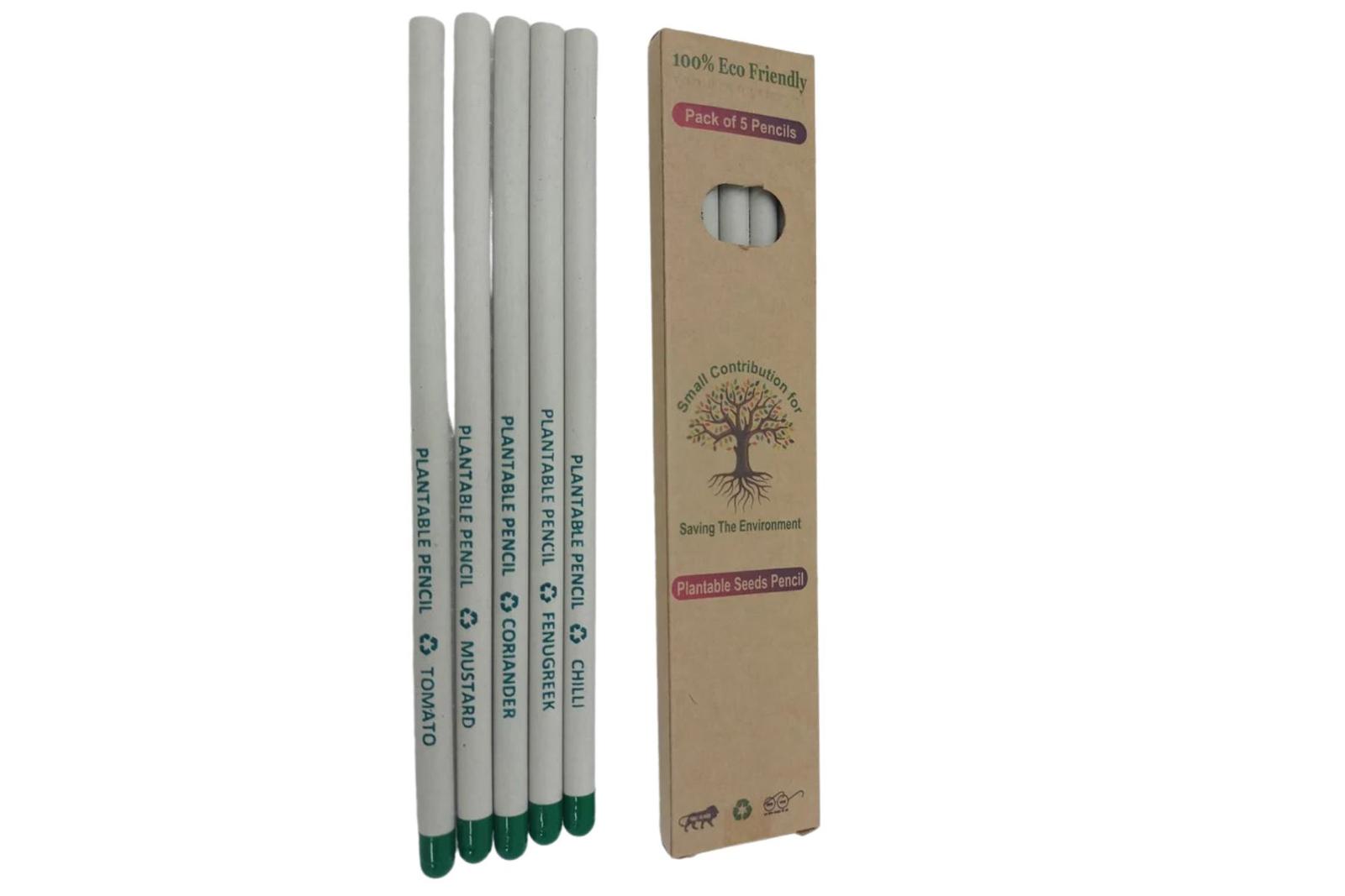 Plantable Paper Pencil