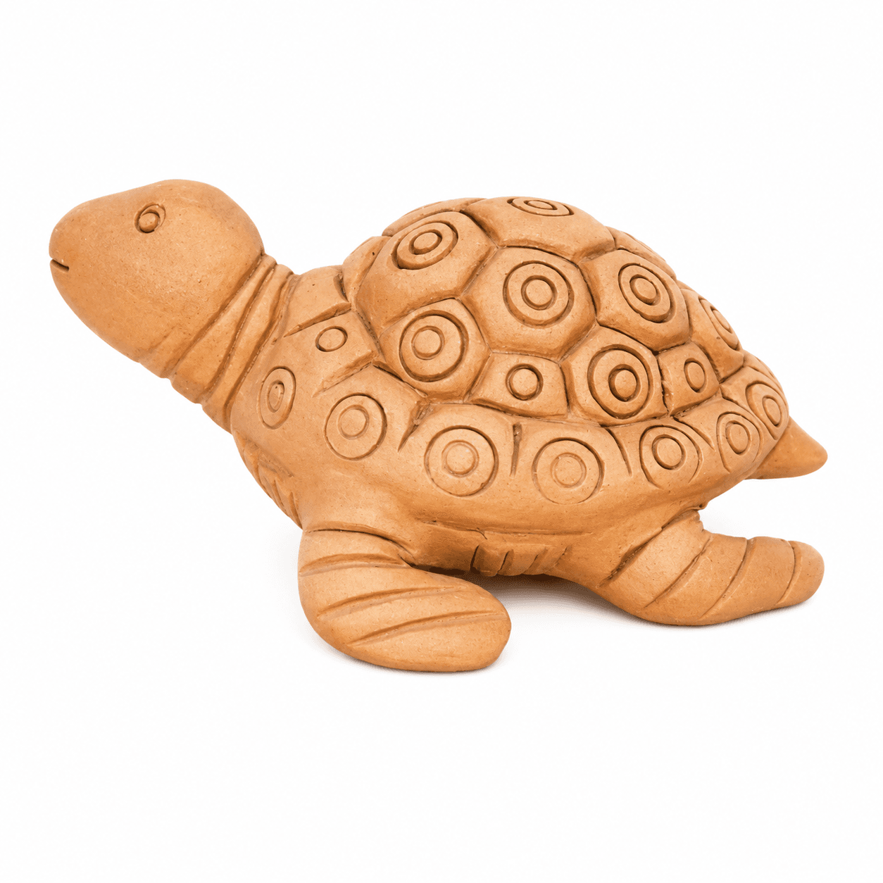 Small Tortoise