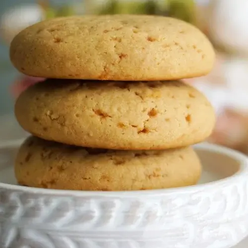 Wheat Choco Jaggery Cookies-Sayali Gujar