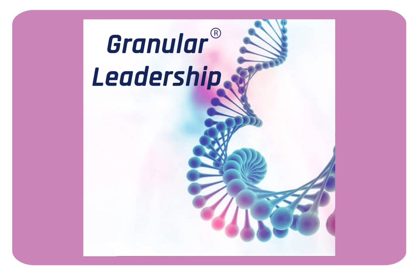 Granular Leadership