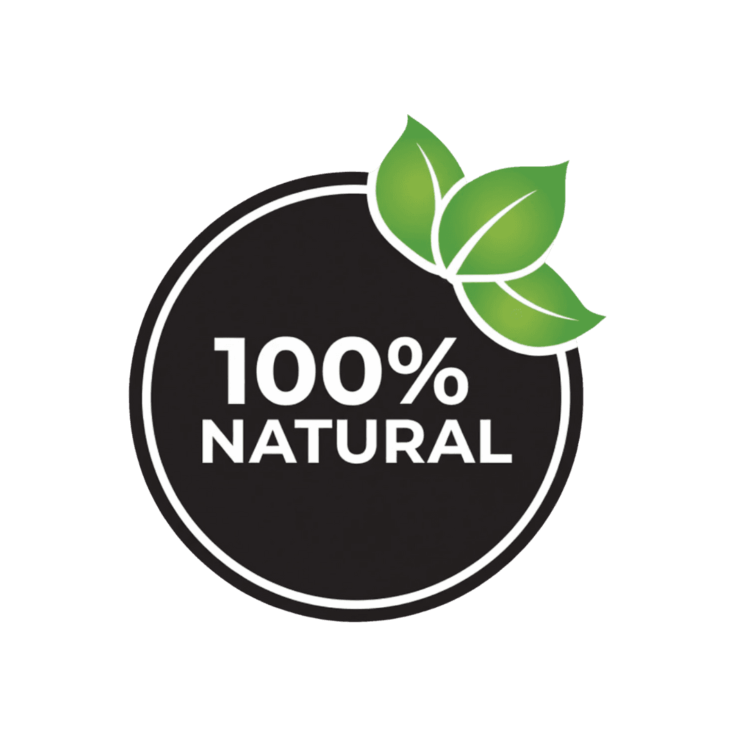 Team member portrait — professional headshot