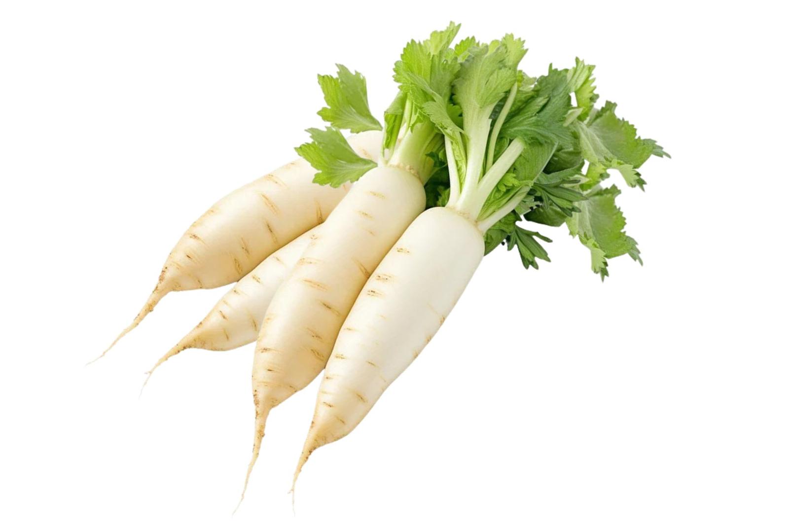 Raddish White / मुळा