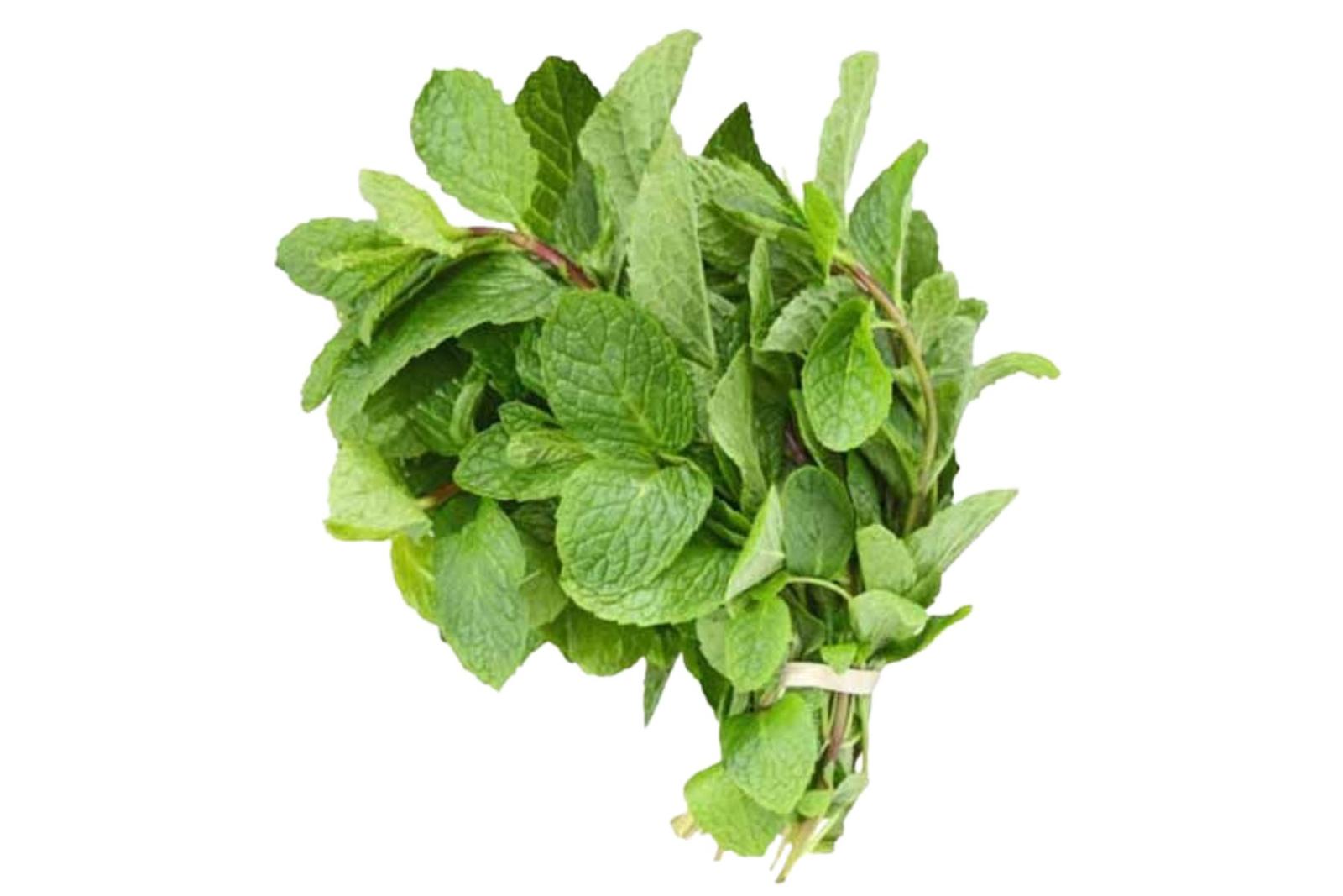 Pudina / पुदिना