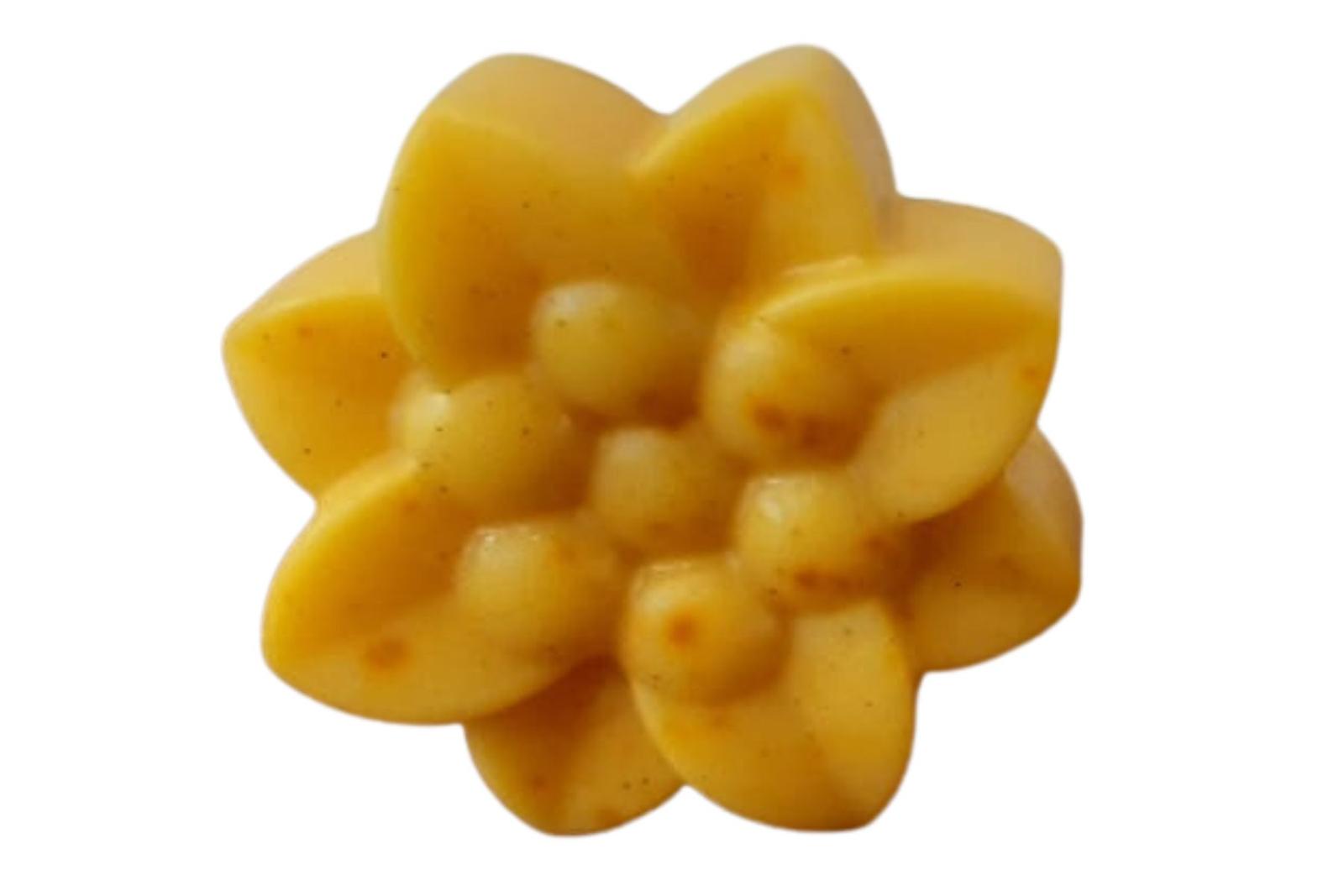 Ashtagandha Soap
