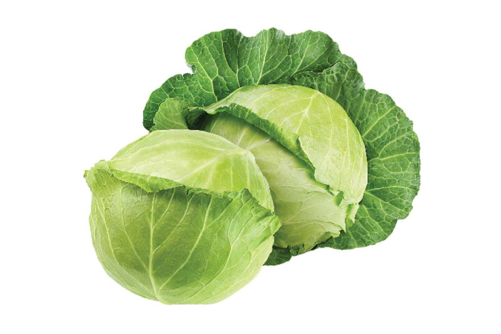 Cabbage / पत्ताकोबी