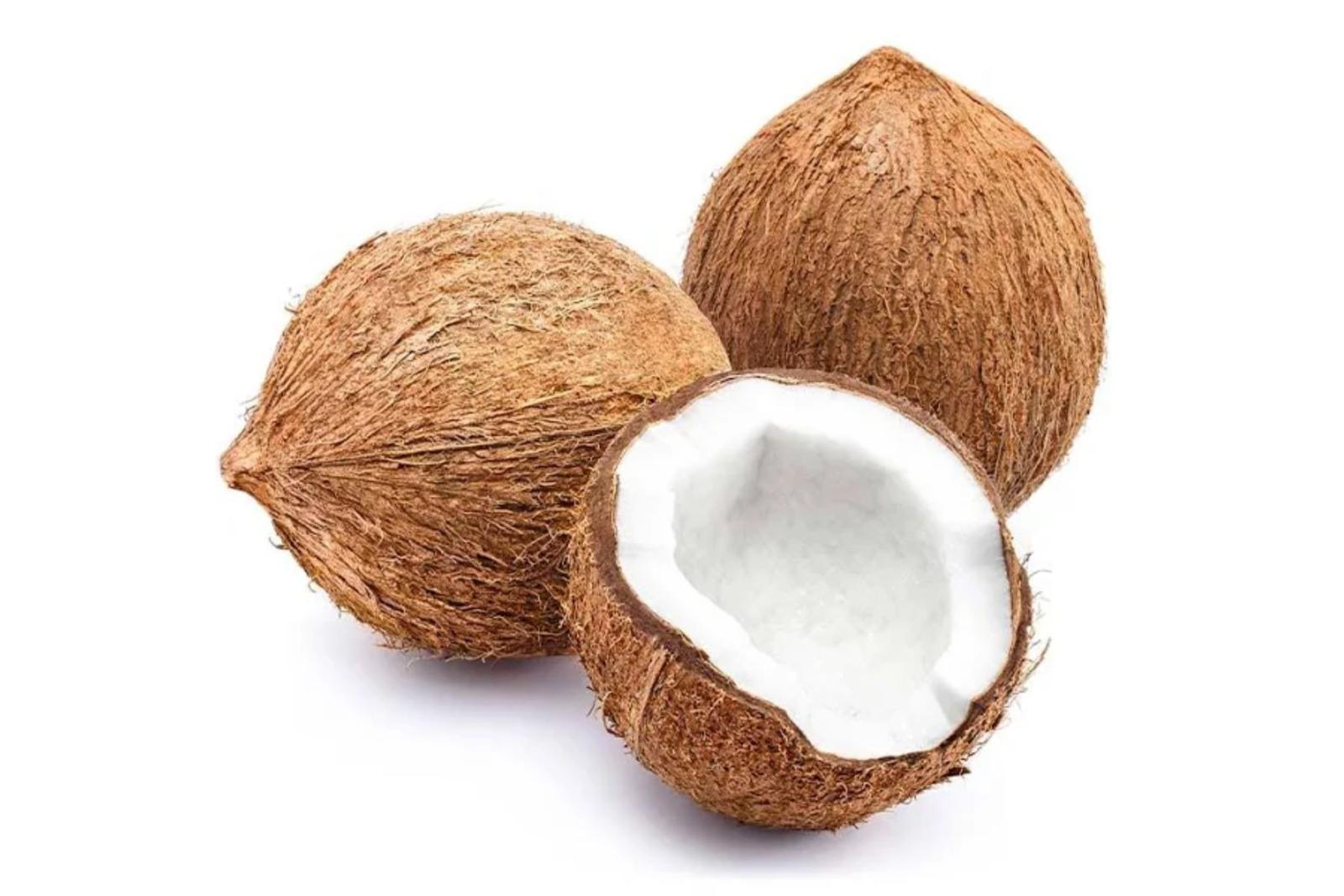 Coconut / नारळ