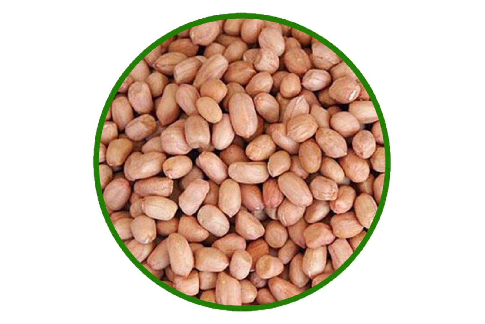 Desi Peanuts - Ghungru Variety