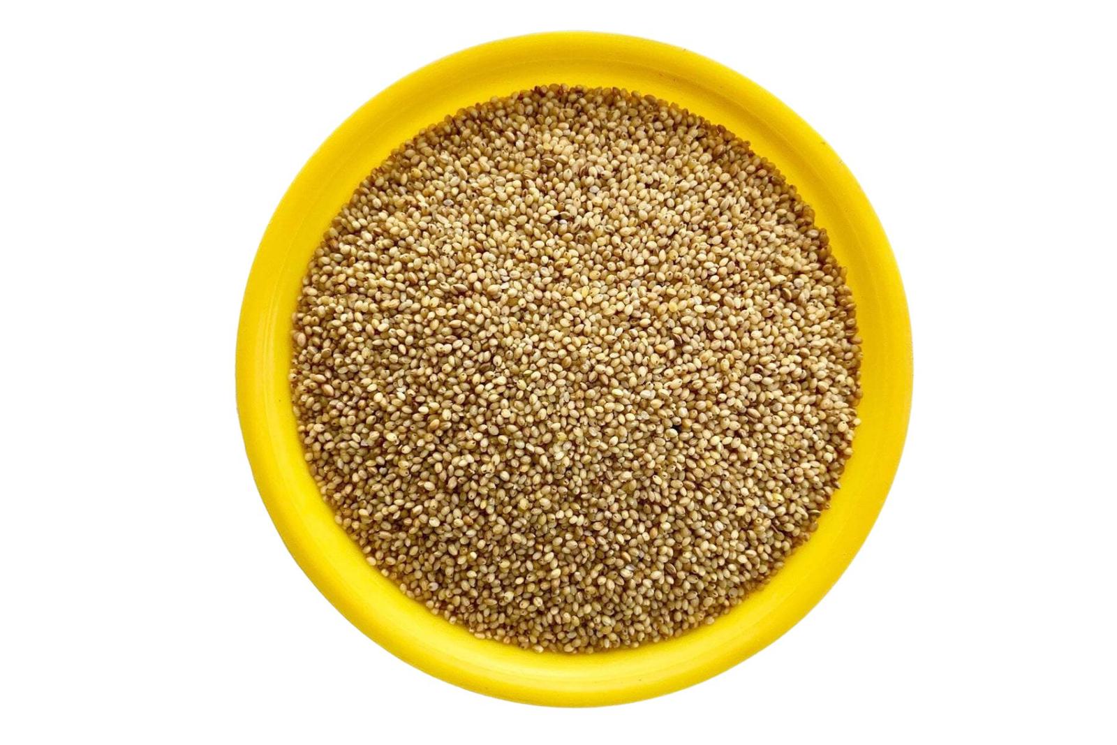 Foxtail Millet