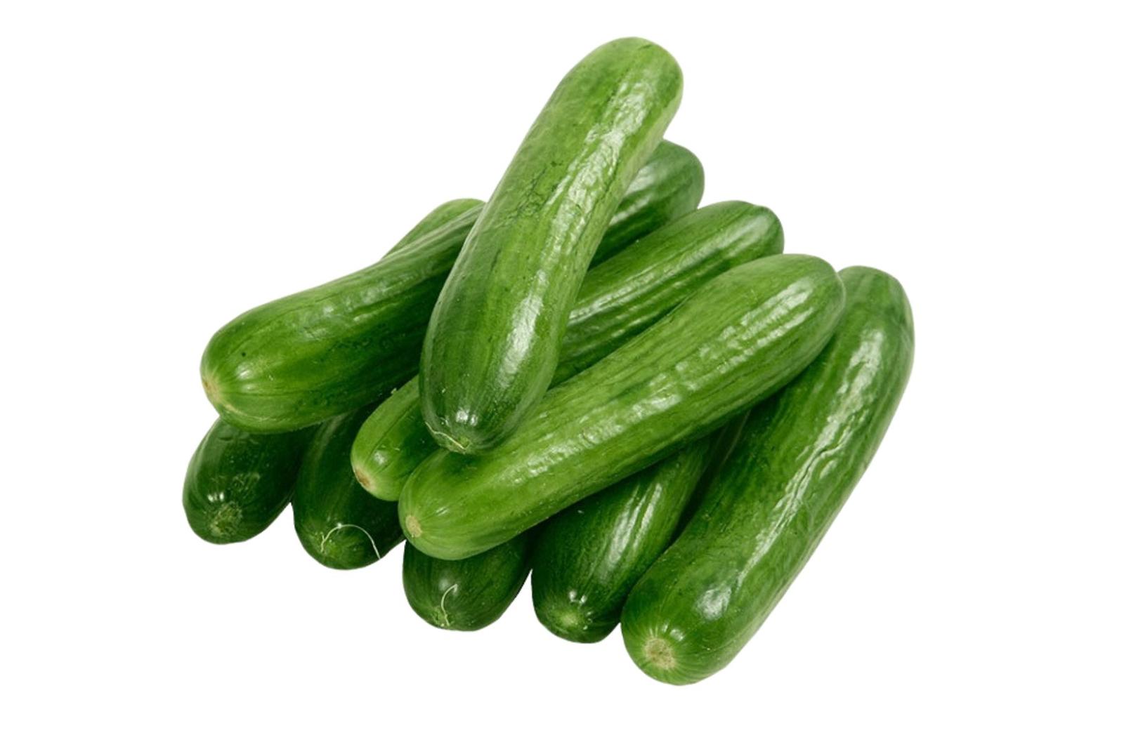 Green Cucumber / हिरवी काकडी