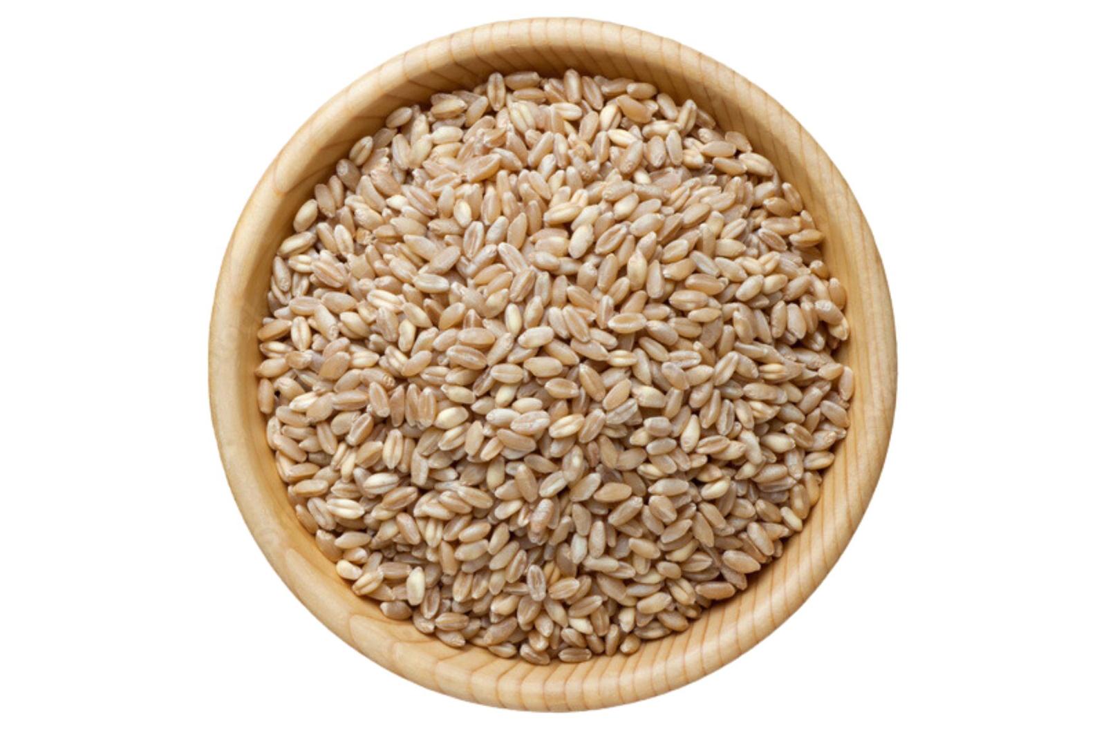 Khapli Wheat