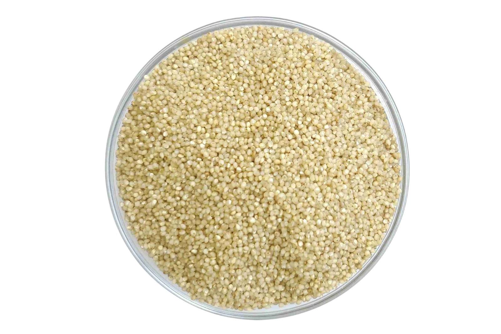 Little Millet
