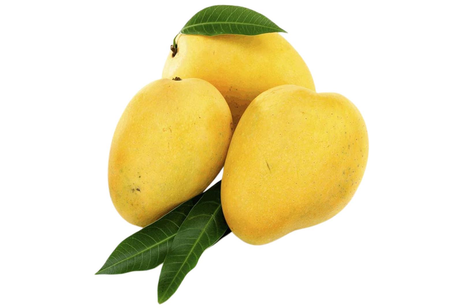 Mango Amrapali / आंबा आम्रपाली