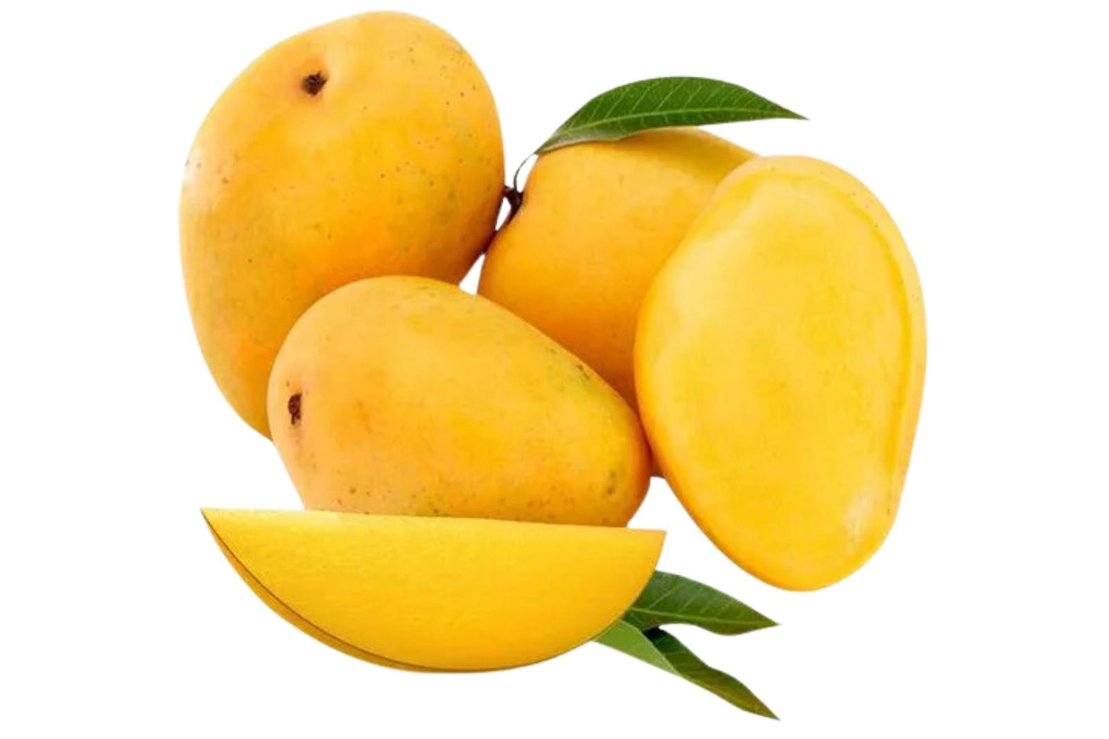 Mango Badami / आंबा बदामी
