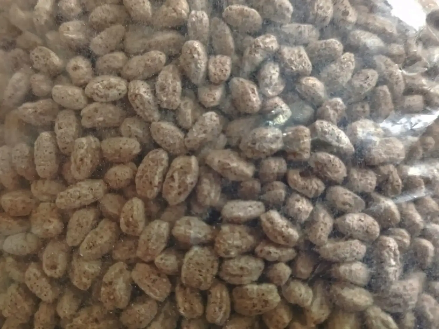 Ragi Murmura