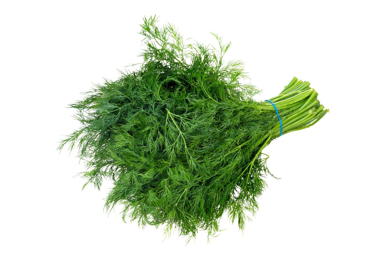 Shepu (Dill leaves) / शेपू जुडी