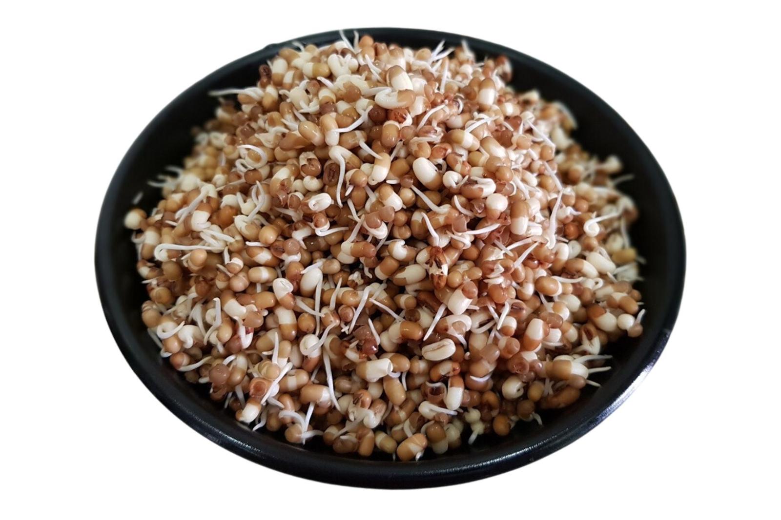 Sprout Matki / स्प्राऊट्स मटकी