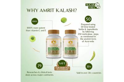 AMRIT KALASH S.F