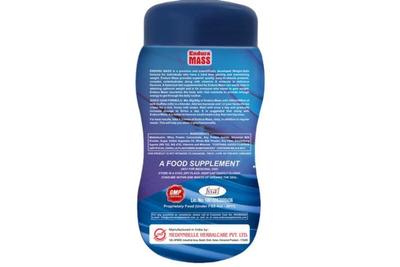 ENDURA MASS (VANILLA)