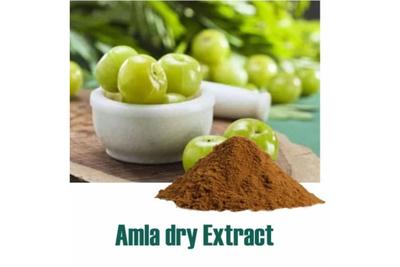 GOOD HEALTH CAPSULES