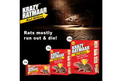 KRAZY RATMAAR
