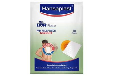 LION PLASTER